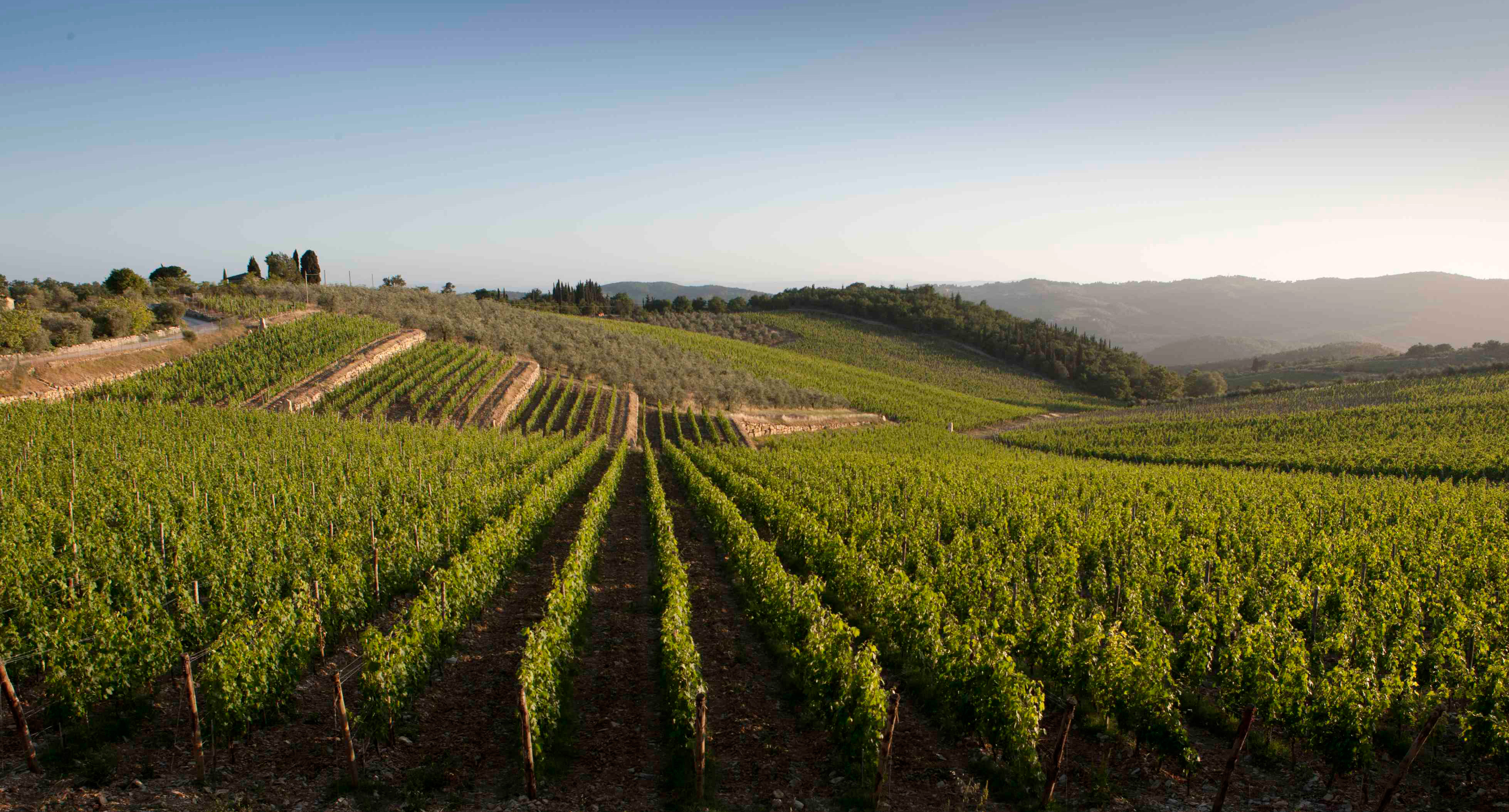 Tecnologie agro-alimentari